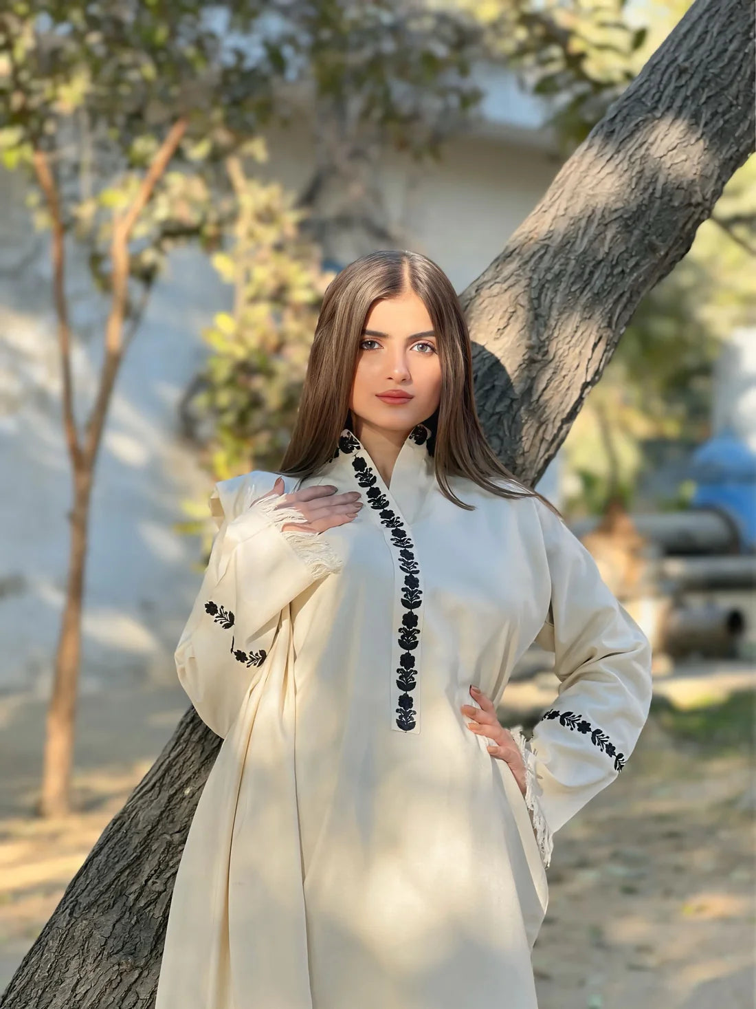 Aive Premium 3PC – Dhanak Elegant Ready-to-Wear Suit ✨