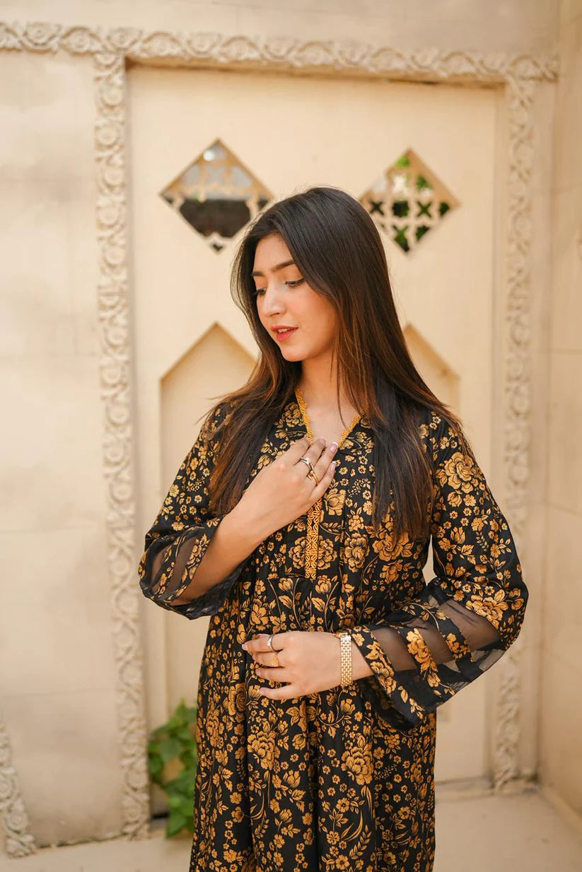 Lara Premium 2PC – Elegant Ready-to-Wear Outfit ✨
